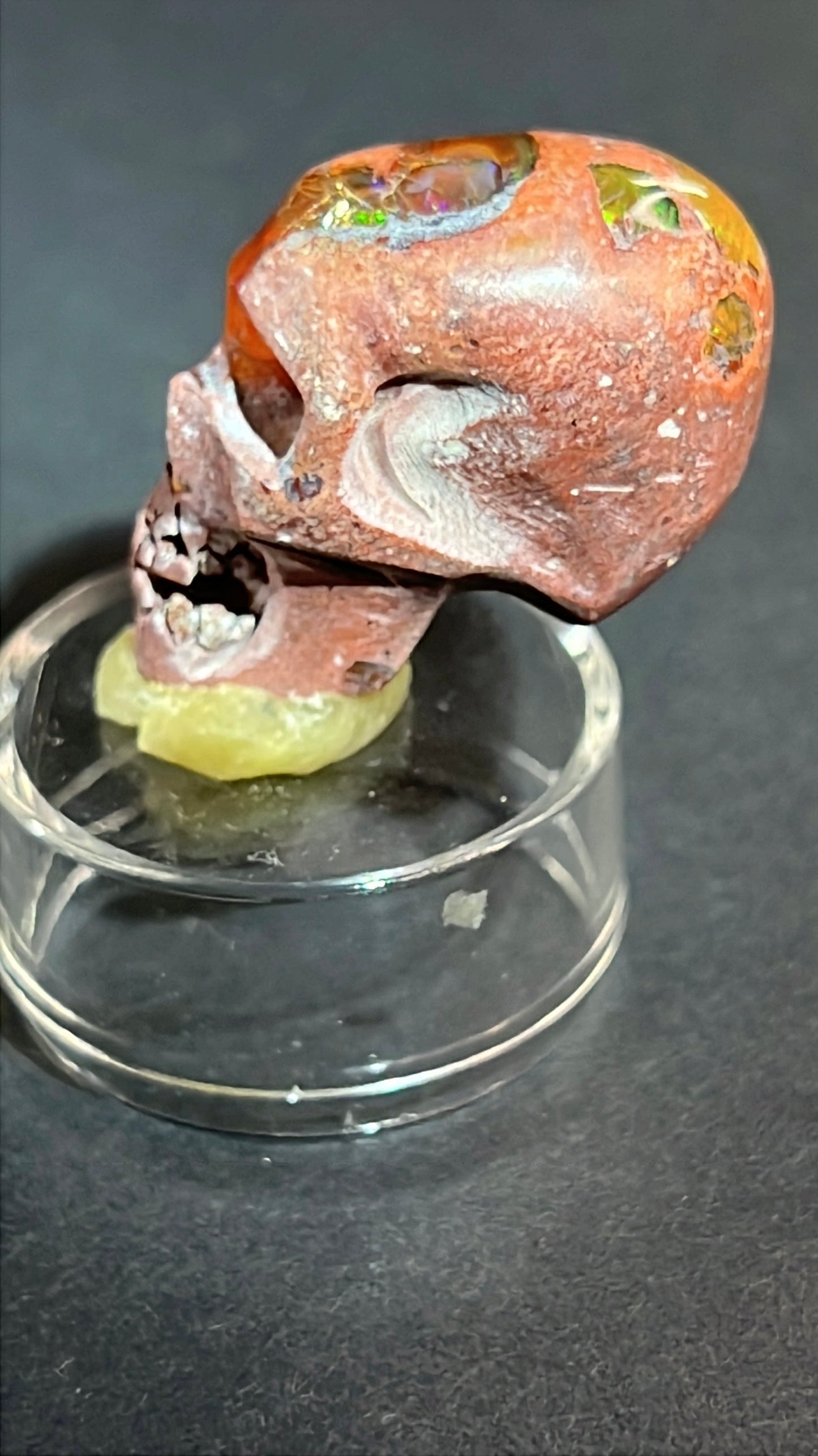 Mexican Cantera Skull “Gus”