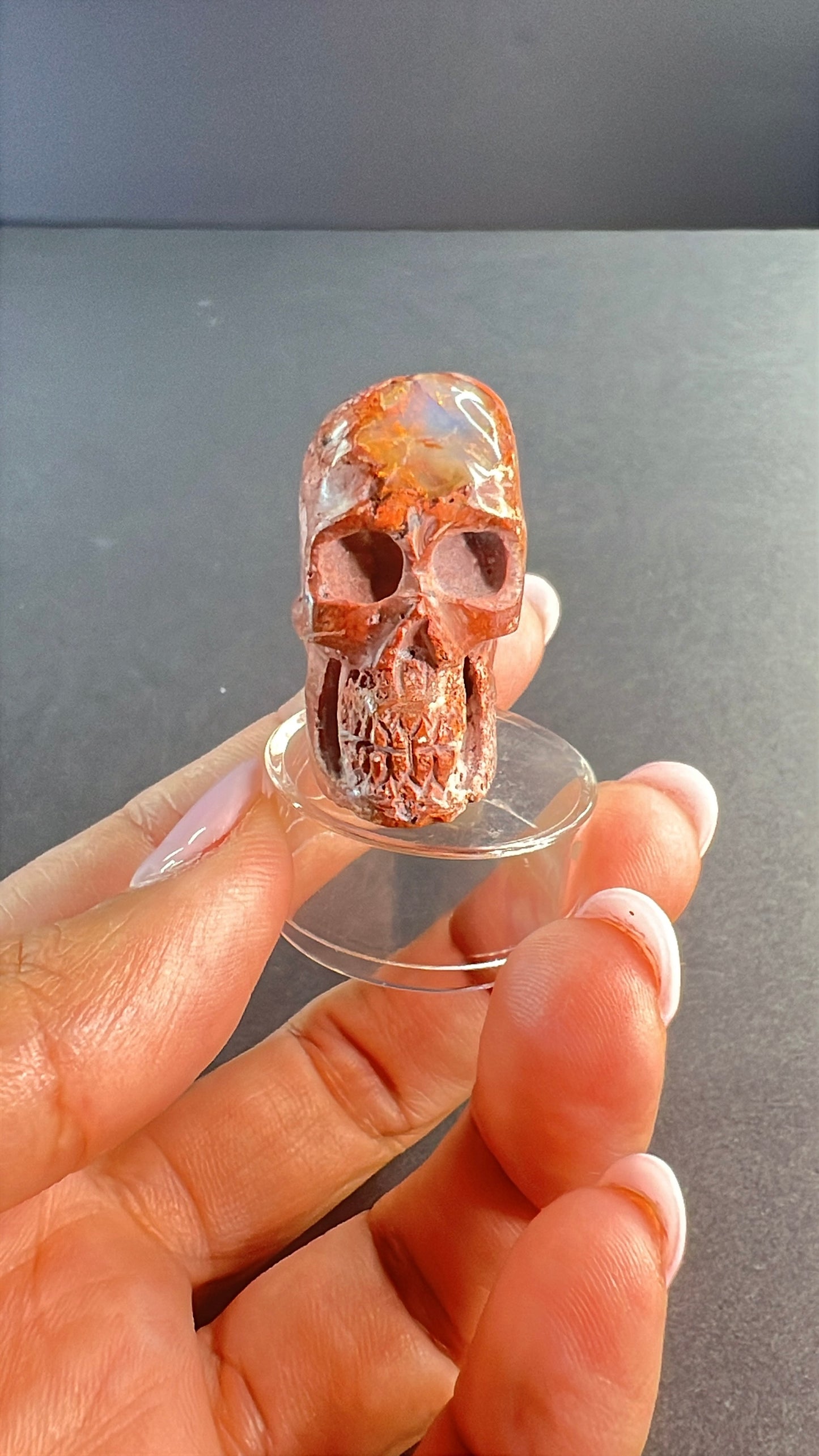 Mexican Cantera Opal Skull “Big Head”