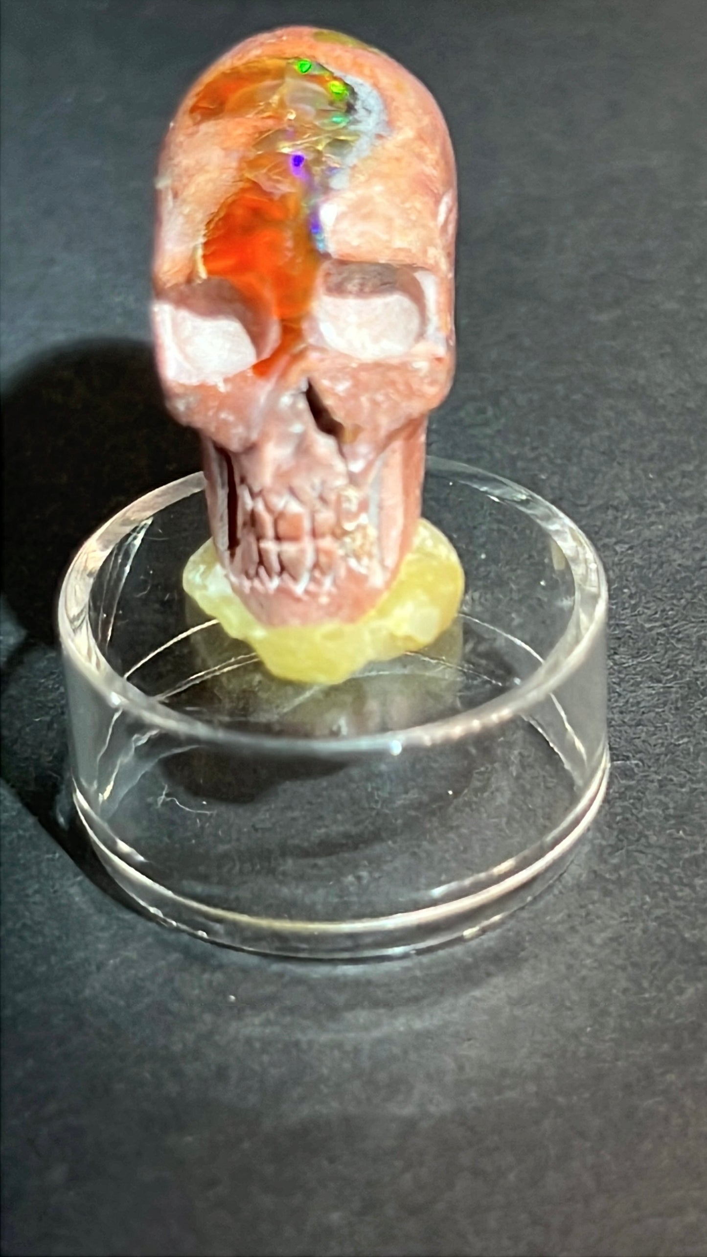 Mexican Cantera Skull “Gus”