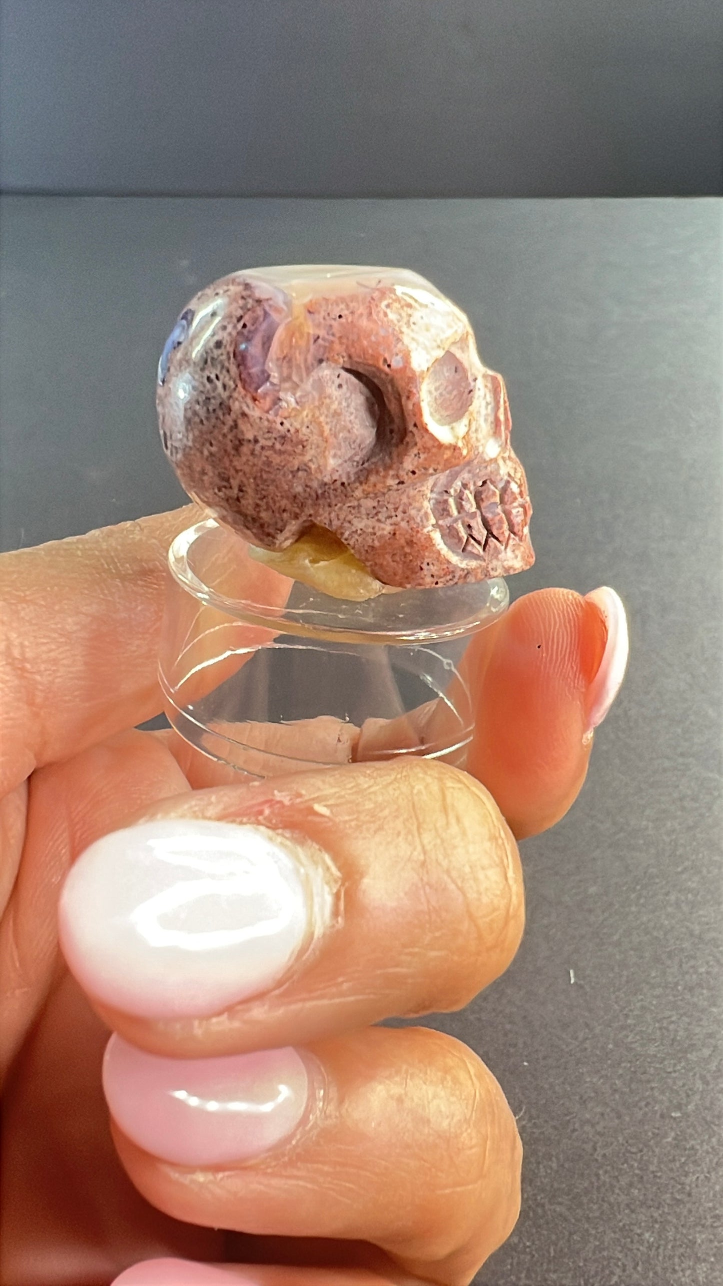 Mexican Cantera Opal Skull “Horchata”
