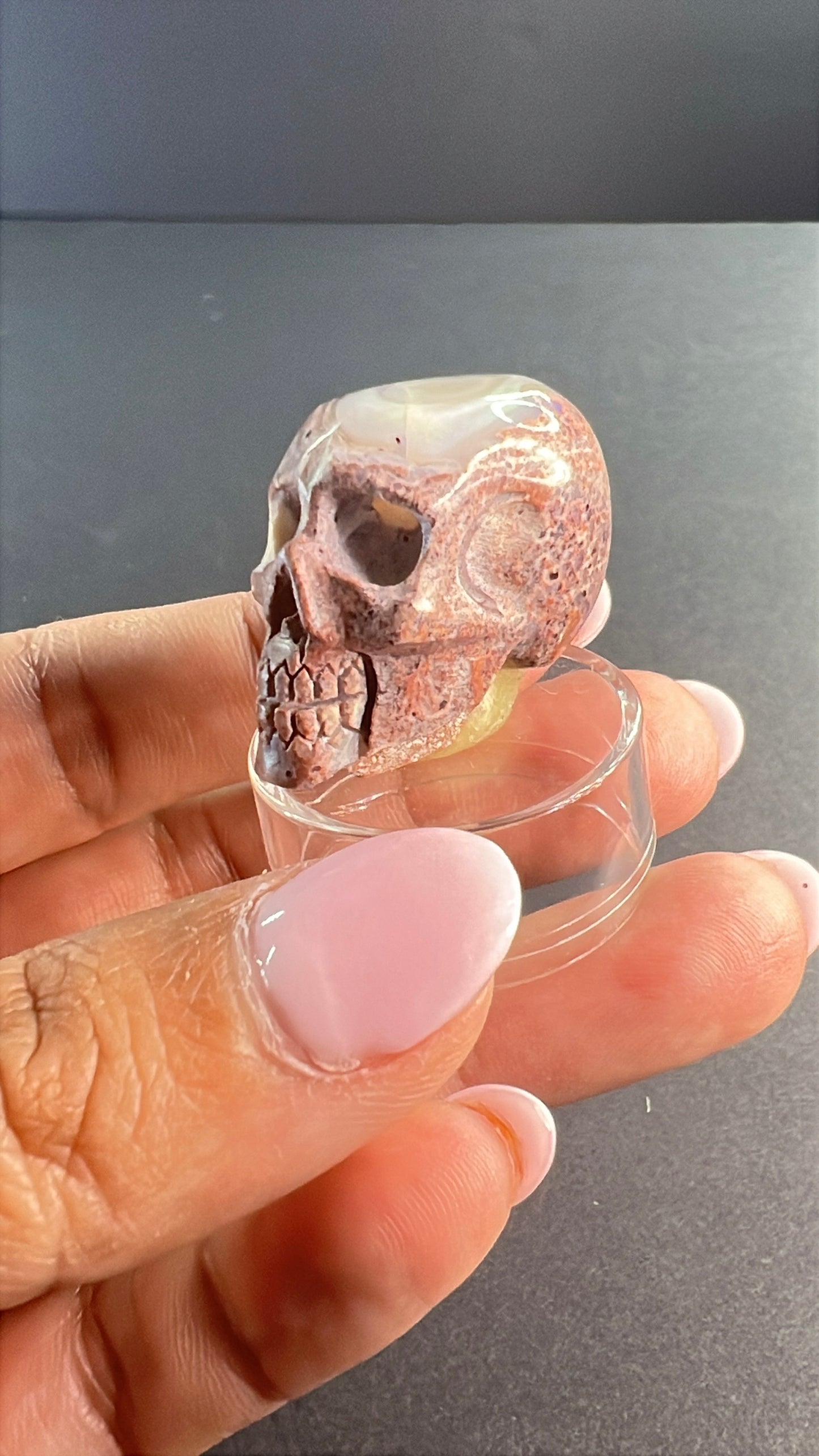 Mexican Cantera Opal Skull “Horchata”