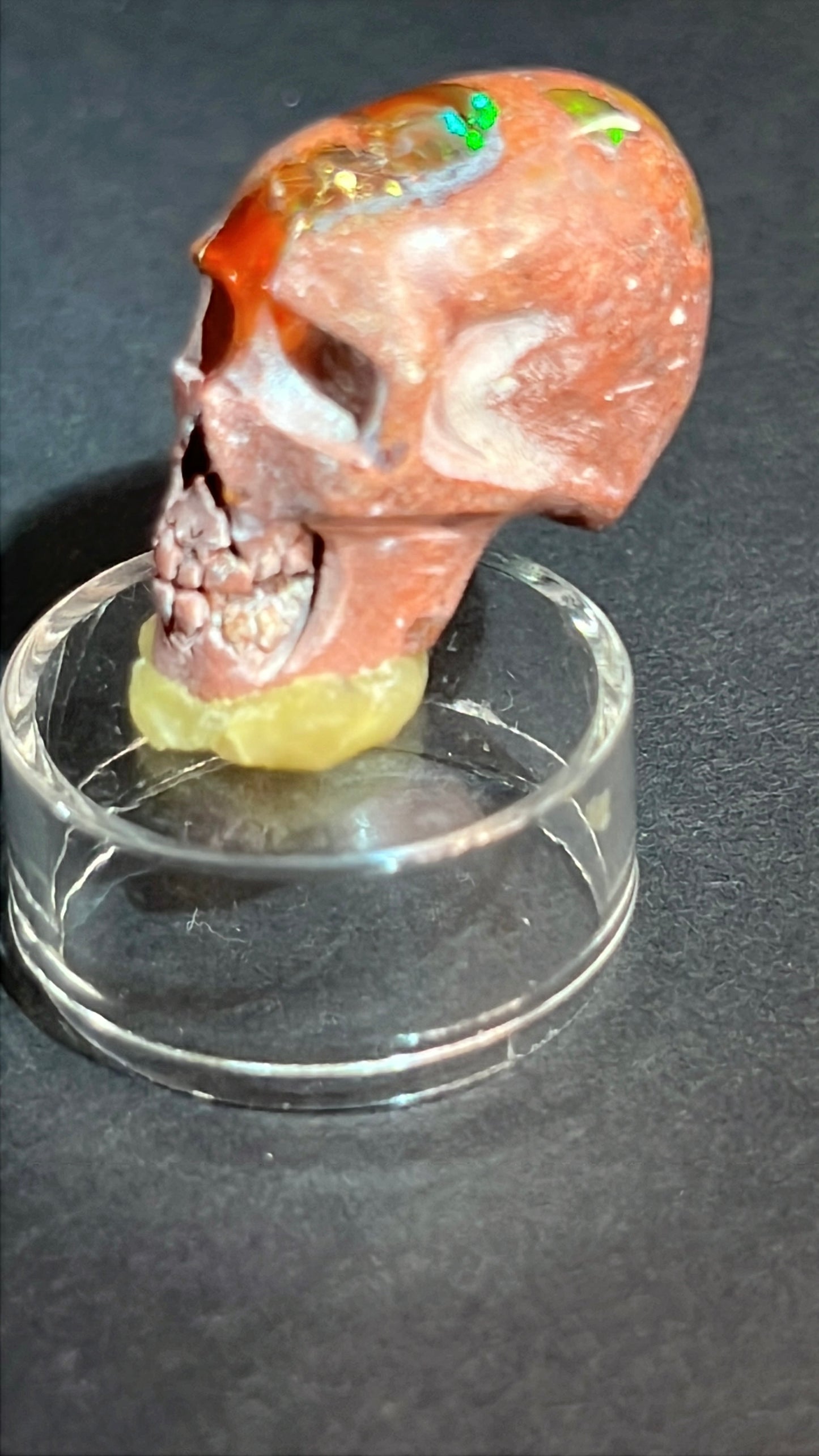Mexican Cantera Skull “Gus”