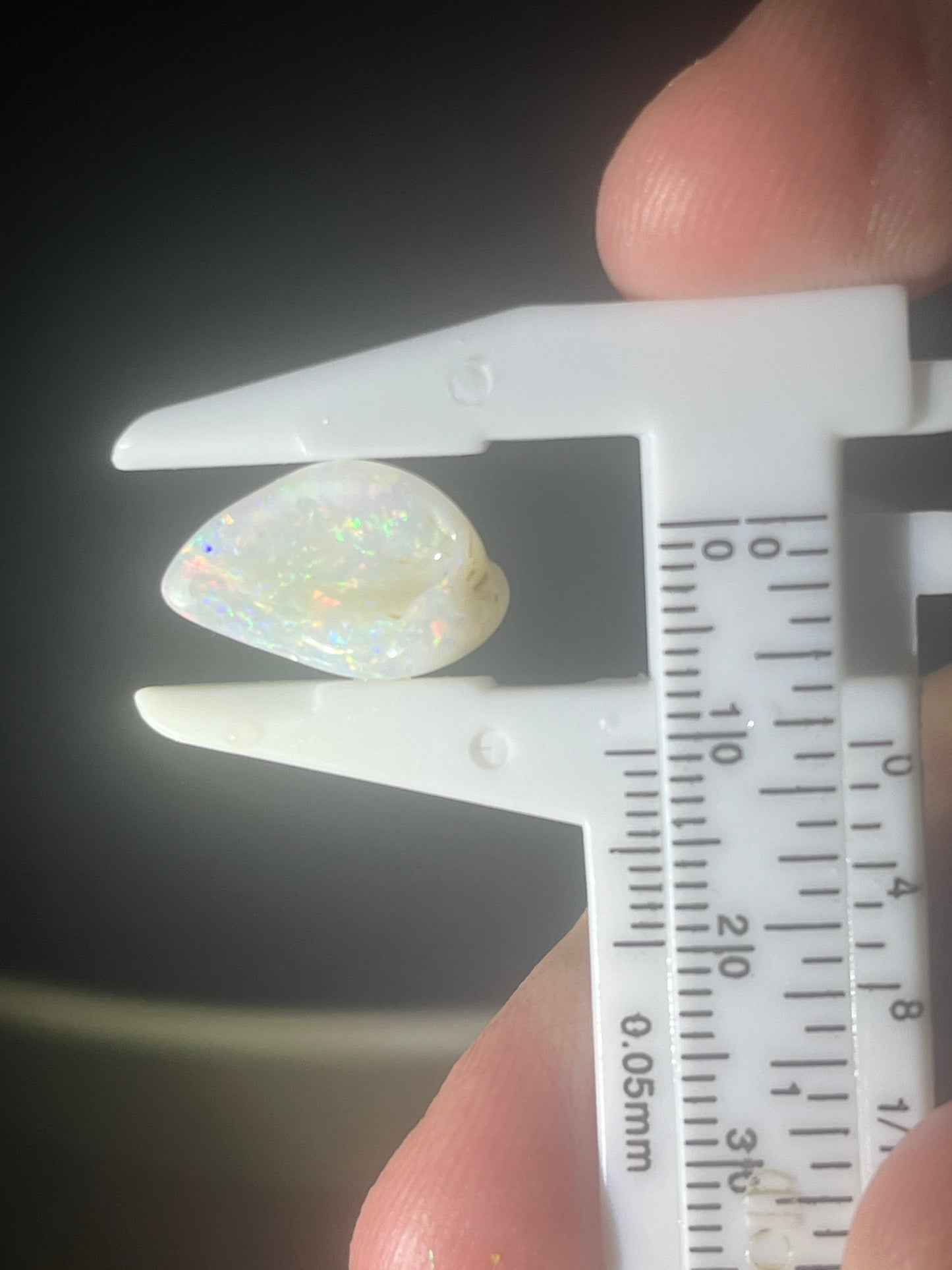 Australian Opal Shell