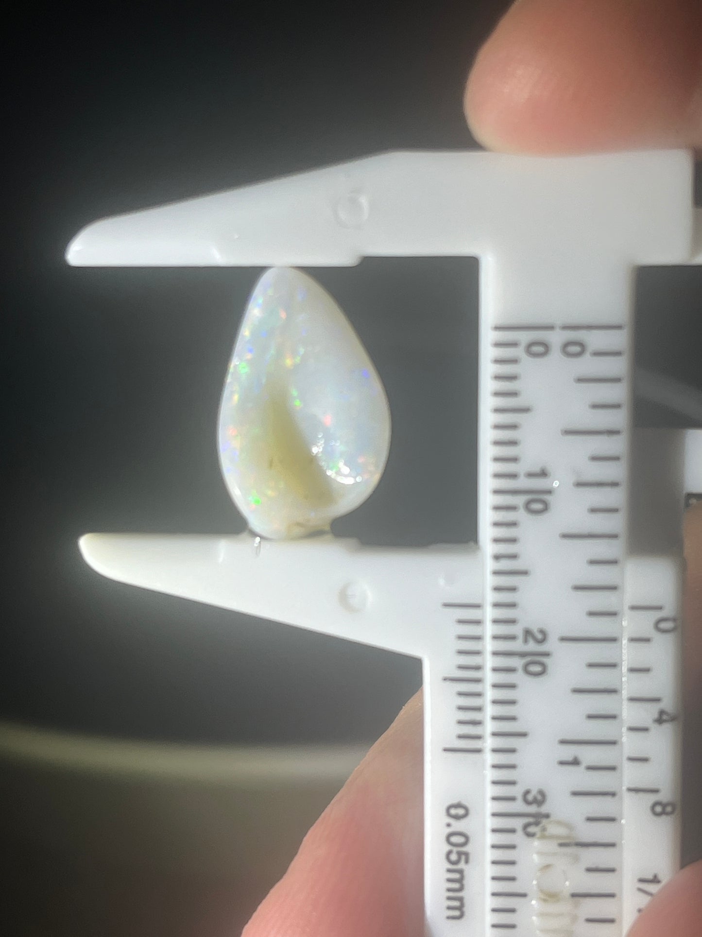 Australian Opal Shell