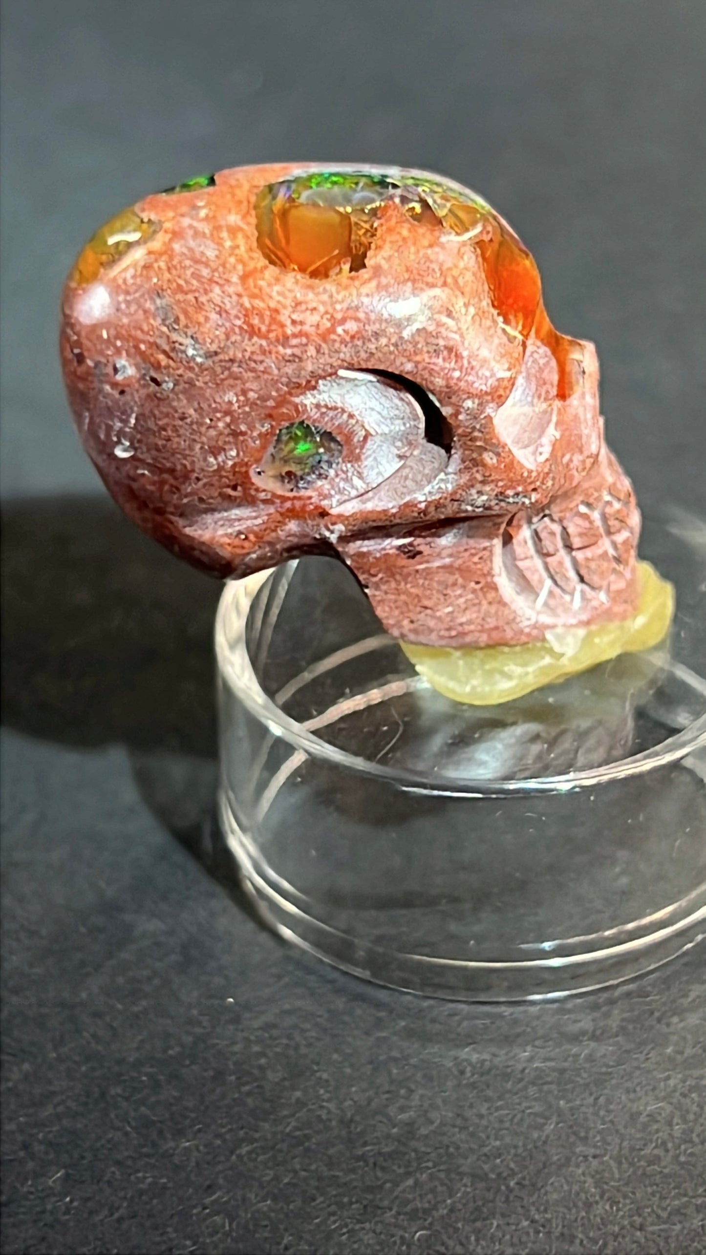 Mexican Cantera Skull “Gus”