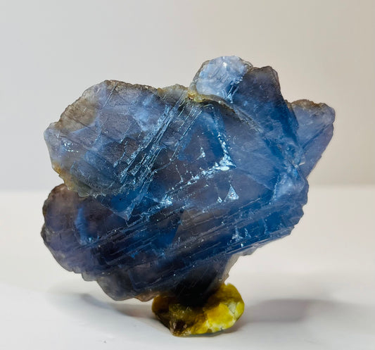 Blue Fluorite With Record Keepers