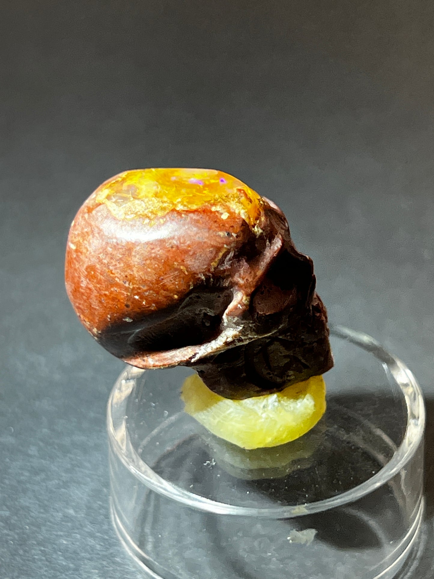 Mexican Cantera Opal Skull “Gizmo”