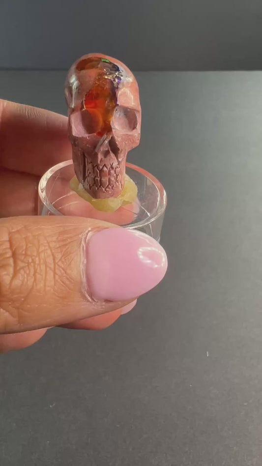Mexican Cantera Skull “Gus”