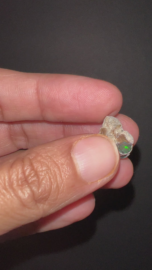 Black Ethiopian Welo Opal